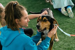 Waverly Puppy Bowl 2019