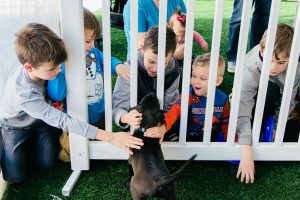 Waverly Puppy Bowl 2019